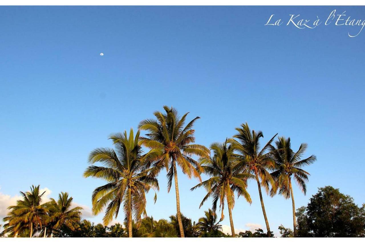 La Kaz A L'Etang - Votre Location De Vacances A L'Ile De La Reunion Saint-Louis Luaran gambar
